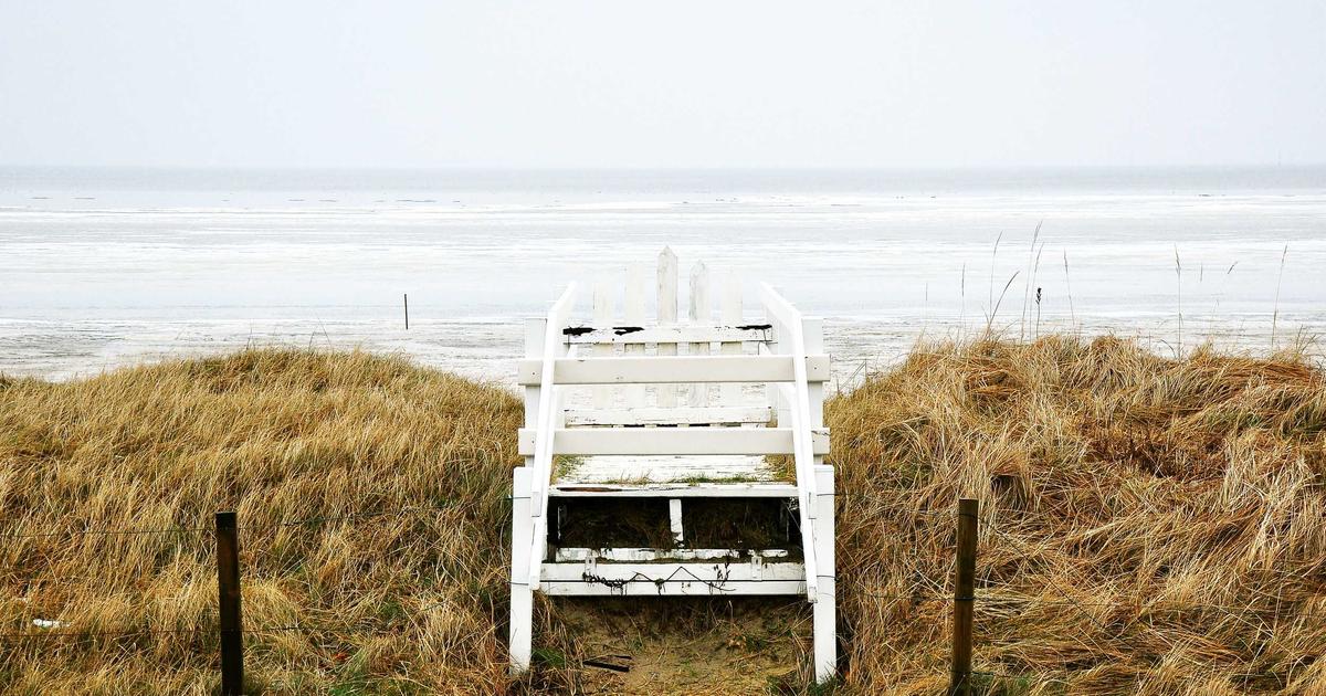 Sample Post 1263: Images are usually the heaviest thing on